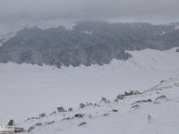 2018-01-13 M. Orsello 073